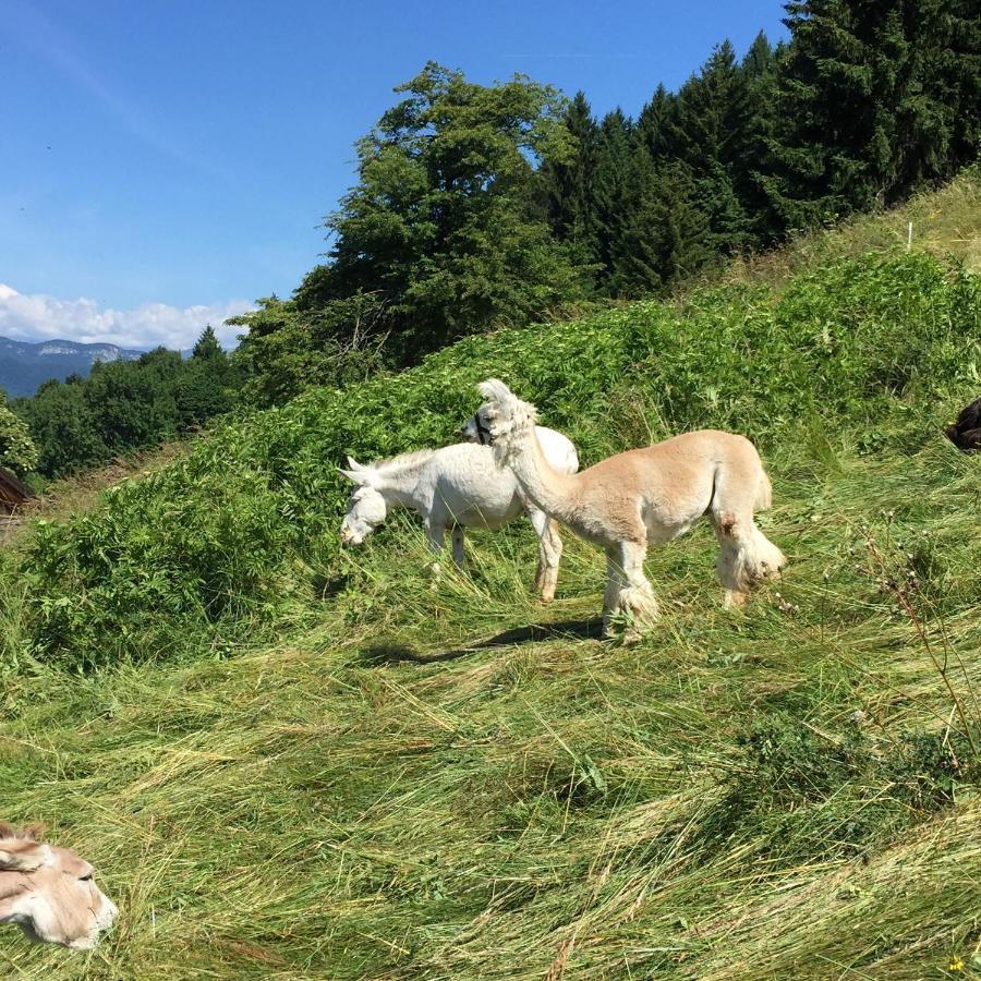 アルコ Trentino In Malga: Malga Zangaゲストハウス エクステリア 写真
