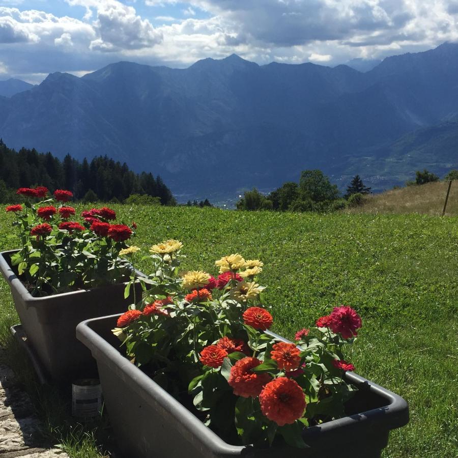 アルコ Trentino In Malga: Malga Zangaゲストハウス エクステリア 写真